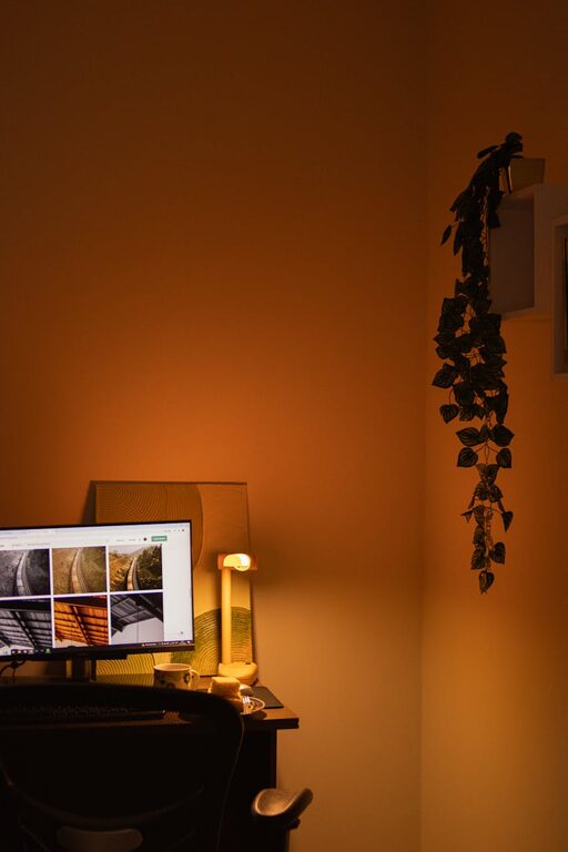 Tips for Creating a Cozy and Functional Home Office Space